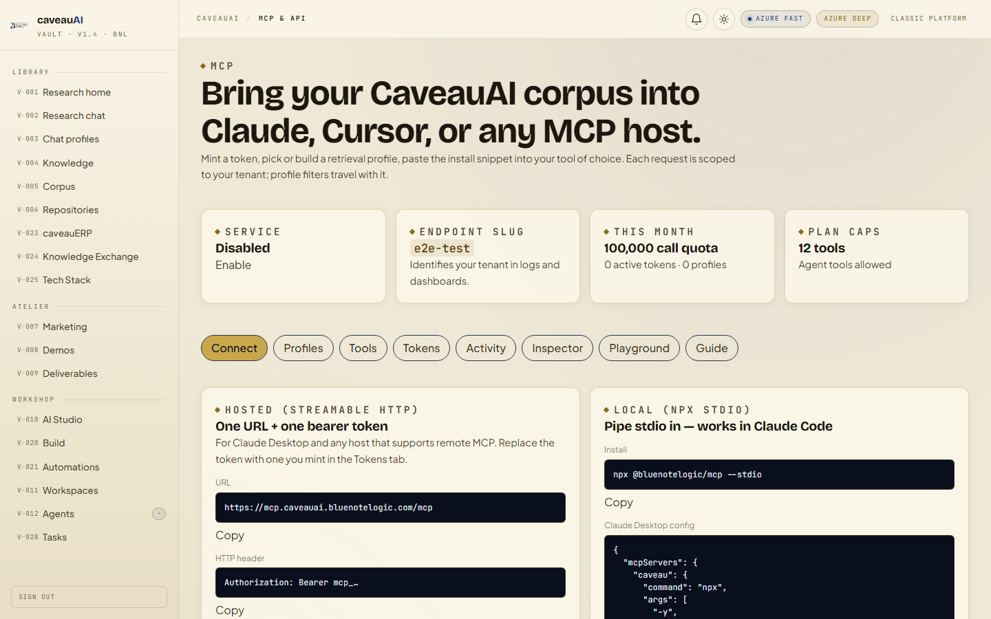 MCP and API app screenshot